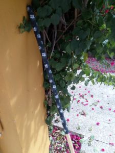 Stielschutz in Detailansicht