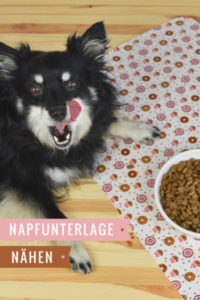 Schnittmuster Napfunterlage für Hunde.